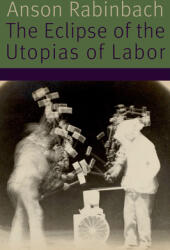The Eclipse of the Utopias of Labor (ISBN: 9780823278572)