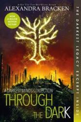 Through the Dark (Bonus Content) (a Darkest Minds Collection) - Alexandra Bracken (ISBN: 9781368022484)