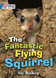 The Fantastic Flying Squirrel (2005)
