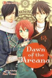 Dawn of the Arcana, Vol. 13 - Rei Toma (ISBN: 9781421569505)