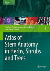 Atlas of Stem Anatomy in Herbs, Shrubs and Trees - Fritz H. Schweingruber, Annett Börner, Ernst-Detlef Schulze (2010)