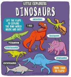Little Explorers: Dinosaurs (ISBN: 9781499804904)