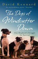 Dogs of Windcutter Down (2006)
