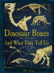 Dinosaur Bones - Rob Colson (ISBN: 9781770856943)