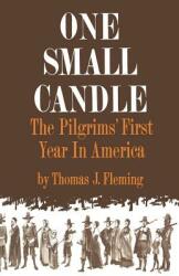 One Small Candle: The Pilgrims' First Year in America (ISBN: 9780393334449)