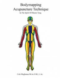 Bodymapping Acupuncture Technique: In the Spirit of Master Tung - Cole Magbanua Macom (ISBN: 9780692836637)