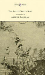 Little White Bird - Illustrated by Arthur Rackham - J M Barrie (ISBN: 9781447478409)