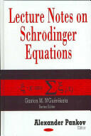 Lecture Notes on Schroedinger Equations (2008)