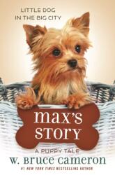 Max's Story (ISBN: 9780765395016)