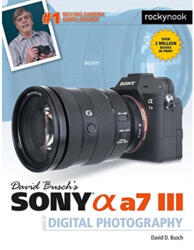 David Busch's Sony Alpha a7 III Guide to Digital Photography - David D. Busch (ISBN: 9781681984124)
