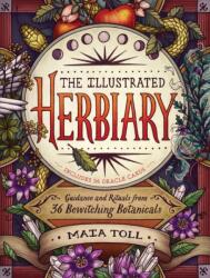 Illustrated Herbiary: Guidance and Rituals from 36 Bewitching Botanicals - Maia Toll, Katherine O'Hara (ISBN: 9781612129686)