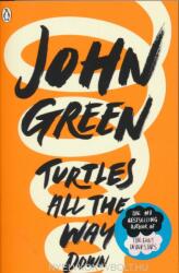 Turtles All The Way Down (ISBN: 9780141346045)