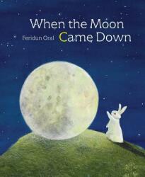 When the Moon Came Down - Feridun Oral (ISBN: 9789888341764)