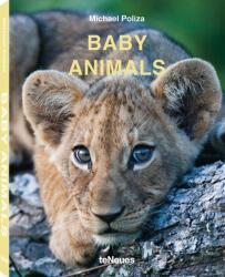 Baby Animals - Michael Poliza (ISBN: 9783961711413)