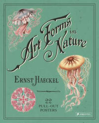 Ernst Haeckel: Art Forms in Nature: 22 Pull-Out Posters - Kira Uthoff (ISBN: 9783791382630)
