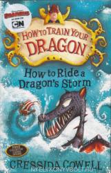 How To Train Your Dragon: How to Ride a Dragon's Storm (2010)