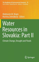 Water Resources in Slovakia: Part II - Abdelazim M. Negm, Martina Zelenáková (ISBN: 9783319928647)