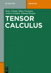 Tensor Analysis - Heinz Schade, Klaus Neemann, Andrea Dziubek, Edmond Rusjan (ISBN: 9783110404258)