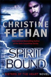 Spirit Bound - Christine Feehan (2011)
