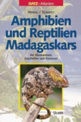 Amphibien und Reptilien Madagaskars, der Maskarenen, Seychellen und Komoren - Friedrich-Wilhelm Henkel, Wolfgang Schmidt (1995)
