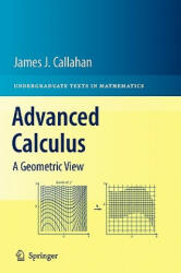 Advanced Calculus - James Callahan (2010)
