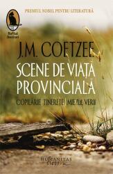 Scene de viaţă provincială (ISBN: 9786067794151)