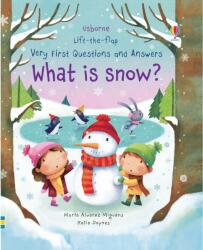 LIFT-THE-FLAP VERY FIRST QUESTIONS AND ANSWERS WHAT IS SNOW? (ISBN: 9781474940092)