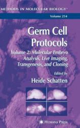 Germ Cell Protocols - Heide Schatten (ISBN: 9781588292575)