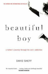 Beautiful Boy - David Sheff (ISBN: 9781471182204)