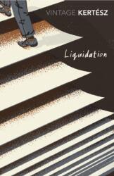 Lichidare (ISBN: 9781784872168)