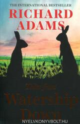 Richard Adams: Tales from Watership Down (ISBN: 9781786073099)