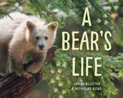 A Bear's Life - Ian McAllister, Nicholas Read (ISBN: 9781459812703)