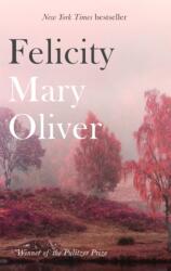 Felicity (ISBN: 9781472153739)