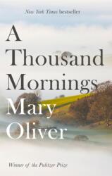 A Thousand Mornings (ISBN: 9781472153760)