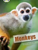 Bug Club Guided Non Fiction Year 3 White A Monkeys (ISBN: 9780435076290)
