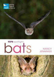 RSPB Spotlight Bats - JENNINGS NANCY (ISBN: 9781472950055)