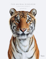 Animal Kingdom - R. Ford (ISBN: 9781599621470)