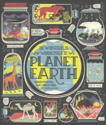 Wondrous Workings of Planet Earth - Rachel Ignotofsky (ISBN: 9780399580413)