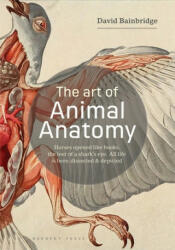 Art of Animal Anatomy - BAINBRIDGE DAVID (ISBN: 9781912217359)