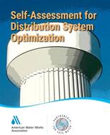 Self-Assessment for Distribution System Optimization (ISBN: 9781625762511)