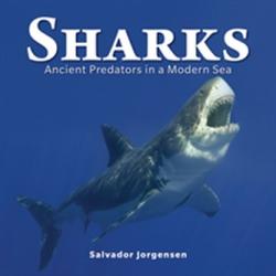 Salvador Jorgensen - Sharks - Salvador Jorgensen (ISBN: 9780228100805)