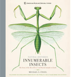 Innumerable Insects - MICHAEL S. ENGEL (ISBN: 9781454923237)
