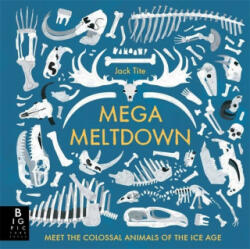 Mega Meltdown - JACK TITE (ISBN: 9781783708314)