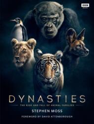 Dinastii (ISBN: 9781785943010)