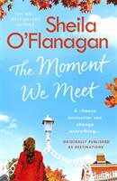The Moment We Meet: Stories of Love Hope and Chance Encounters by the No. 1 Bestselling Author (ISBN: 9781472261465)
