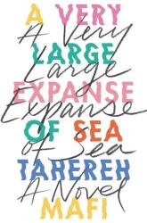 A Very Large Expanse of Sea (ISBN: 9780062866561)