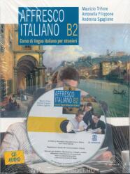 AFFRESCO ITALIANO B2 libro + CD (ISBN: 9788800208499)
