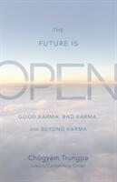 The Future Is Open: Good Karma Bad Karma and Beyond Karma (ISBN: 9781590309537)