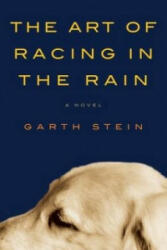 The Art of Racing in the Rain - Garth Stein (2011)