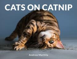 Cats on Catnip - Andrew Marttila (2018)